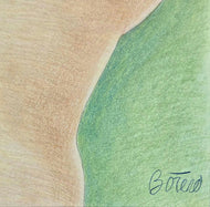 Fernando Botero Angulo was a Colombian painter and sculptor known for his signature style of