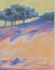 Richard Mayhew was an American landscape painter, illustrator, and arts educator, of Native and