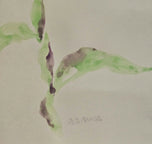 Ruth Aiko Asawa was an American modernist artist primarily known for her abstract looped-wire