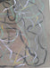 Brice Marden American Painter,Born: October 15, 1938 - Bronxville, NY.Died: August 9, 2023 -