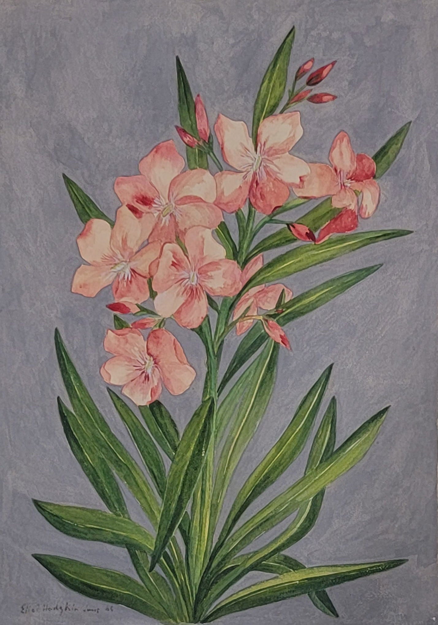 Eliot Hodgkin (19 June 1905 – 30 May 1987) was an English painter, best known for his highly - MJ Auction Gallery - Painting