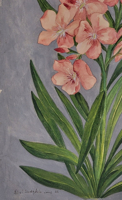 Eliot Hodgkin (19 June 1905 – 30 May 1987) was an English painter, best known for his highly - MJ Auction Gallery - Painting