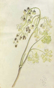 Émile Gallé was a French artist and designer who worked in glass, and is considered to be one of