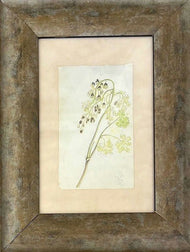 Émile Gallé was a French artist and designer who worked in glass, and is considered to be one of