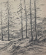 Emily Carr was a Canadian artist who was inspired by the monumental art and villages of the First