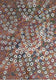 Emily Kane Kngwarreye (1910-1996) was an Australian artist known for her abstract paintings of the