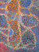 Emily Kane Kngwarreye (1910-1996) was an Australian artist known for her abstract paintings of the