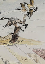 Harald Wiberg was a Swedish writer, artist and illustrator. He was best known for his illustrations