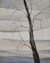 Léon Spilliaert was a Belgian draughtsman, illustrator, lithographer and painter. In his early