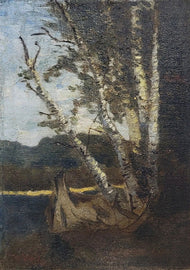 Narcisse Virgilio Díaz de la Peña (20 August 1807 – 18 November 1876) was a French painter of