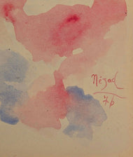 Nejad Melih Devrim  was active/lived in Turkey, France . Born to a highly educated family of artists