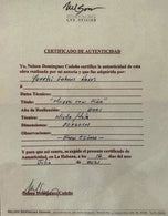 Nelson Dominguez Sedeno,Born: 1947, Santiago de Cuba, Cuba.Studies: 1970 National School of Art,