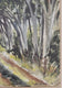 Patricia Tobacco Forrester (born 1940) received her B.A. from Smith College (Phi Beta Kappa),the