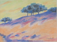 Richard Mayhew was an American landscape   painter, illustrator, and arts educator, of Native and