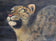 Robert Frederick Kuhn was born in Buffalo, New York, in 1920. It was the golden age of