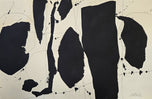 Robert Motherwell was an American abstract expressionist painter, printmaker, and editor of The Dada