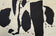 Robert Motherwell was an American abstract expressionist painter, printmaker, and editor of The Dada