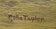 Rolla Taylor (1872-1970) Rolla Sims Taylor was born in Galveston, Texas, on October 31, 1872. The