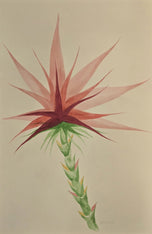 Ruth Aiko Asawa was an American modernist artist known primarily for her abstract looped-wire