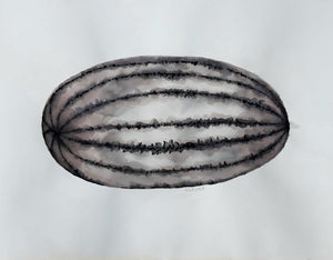 Ruth Aiko Asawa was an American modernist artist known primarily for her abstract looped-wire sculpt