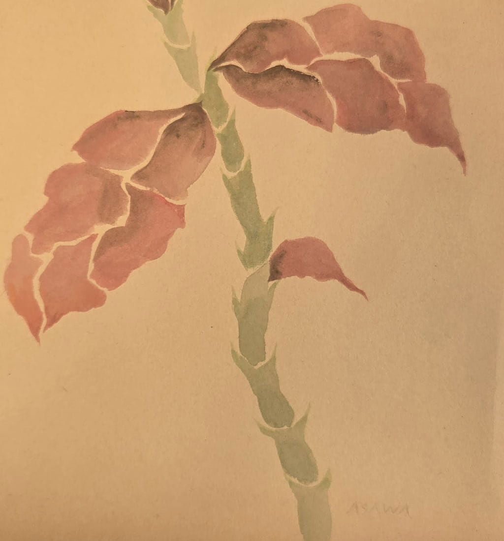 Ruth Aiko Asawa was an American modernist artist known primarily for her abstract looped - wire sculpt - MJ Auction Gallery - Painting