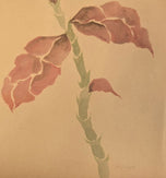 Ruth Aiko Asawa was an American modernist artist known primarily for her abstract looped-wire sculpt