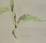 Ruth Aiko Asawa was an American modernist artist primarily known for her abstract looped-wire