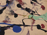 Sam Francis was born in San Mateo, California the son of Katherine Lewis Francis and Samuel