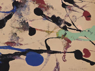 Sam Francis was born in San Mateo, California the son of Katherine Lewis Francis and Samuel