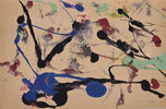 Sam Francis was born in San Mateo, California the son of Katherine Lewis Francis and Samuel