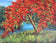 Vibrant Landscape with Red Blossoms (Mejias)