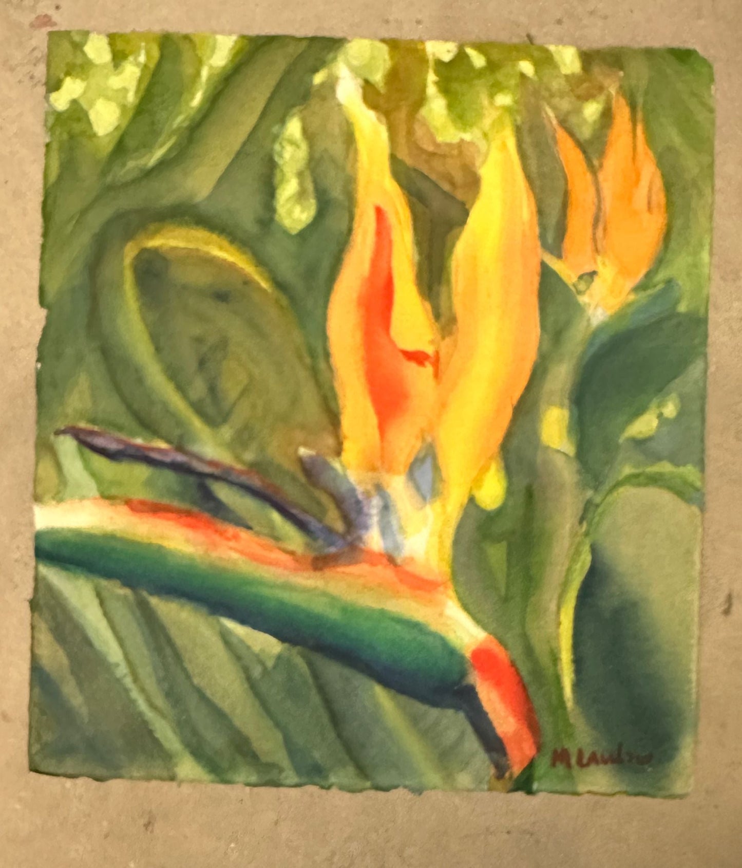 Watercolor of a Flower (Maggie Laubsei) - MJ Auction Gallery - Painting