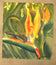 Watercolor of a Flower (Maggie Laubsei)