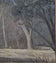 Willem HermanusPrivate Coetzer (1900–1983) was a prominent South African painter and artist known