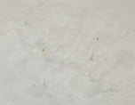 Yvonne Thomas combined the intuitive mark-making of the movement with a keen eye for the expressive